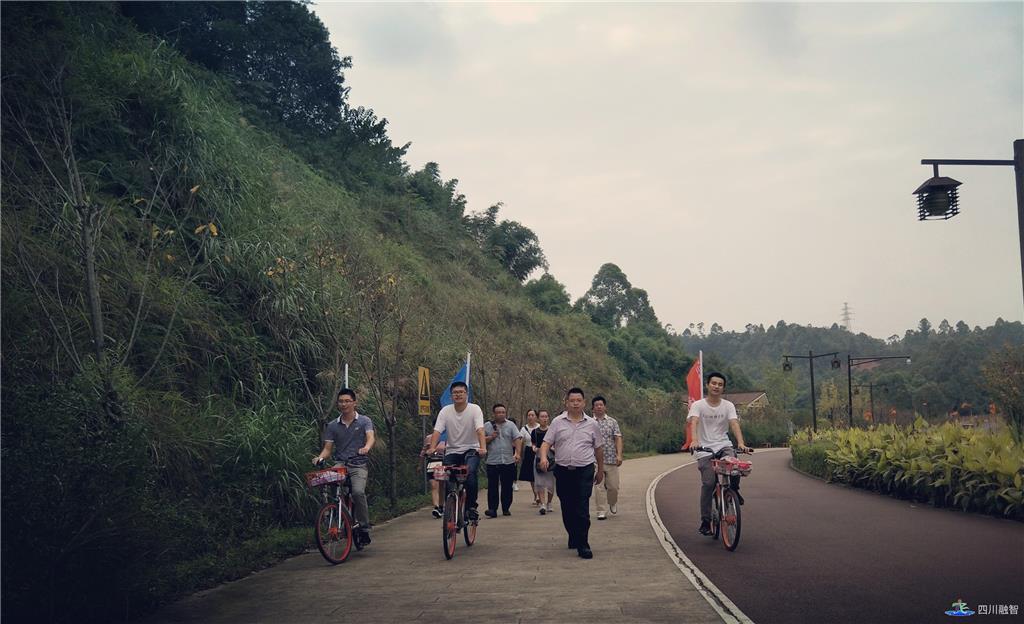 迎国庆，享自然，强体魄，畅游绿心路